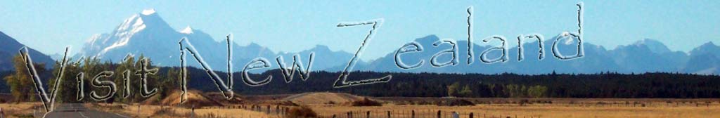 Logo Visit New Zealand